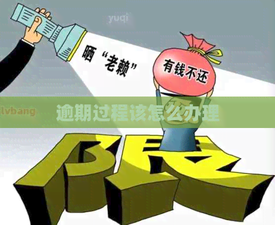 逾期过程该怎么办理