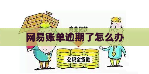 网易账单逾期了怎么办