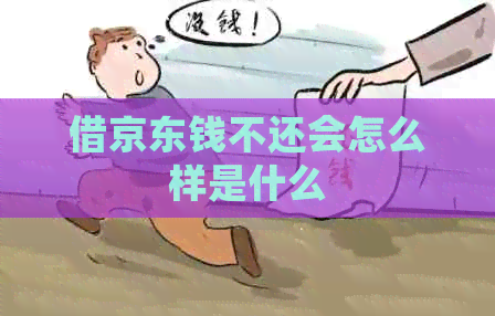 借京东钱不还会怎么样是什么