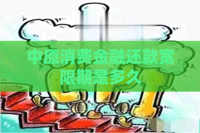 中原消费金融还款宽限期是多久