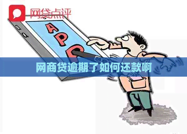 白条贷逾期了如何还款啊