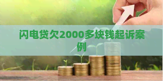 闪电贷欠2000多块钱起诉案例