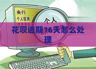 白条逾期16天怎么处理