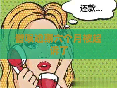 信用卡逾期六个月被起诉了