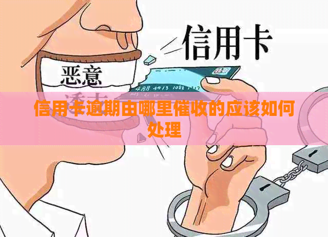 信用卡逾期由哪里的应该如何处理
