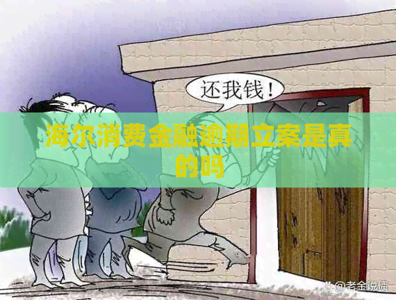海尔消费金融逾期立案是真的吗