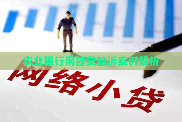 农业银行网捷贷起诉案例解析