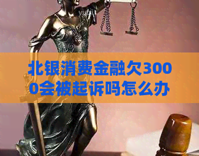 北银消费金融欠3000会被起诉吗怎么办理