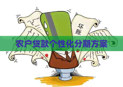 农户贷款个性化分期方案
