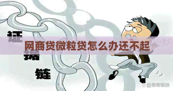 白条贷微粒贷怎么办还不起
