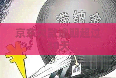 京东欠款逾期超过30天