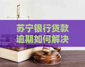 苏宁银行贷款逾期如何解决