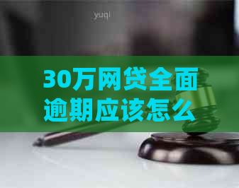 30万网贷全面逾期应该怎么处理