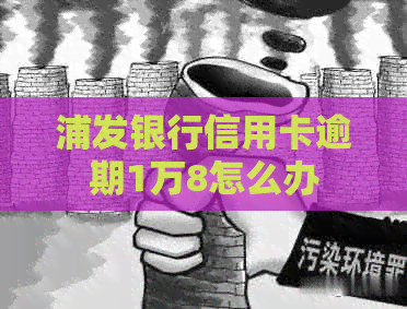 浦发银行信用卡逾期1万8怎么办