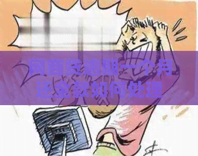 白条贷逾期一个月还全款如何处理