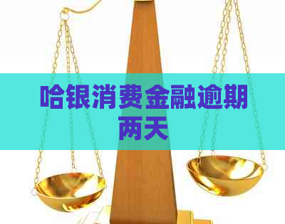 哈银消费金融逾期两天