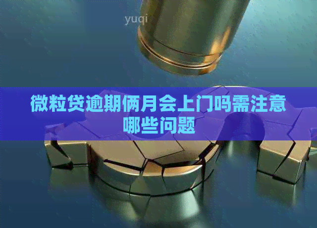 微粒贷逾期俩月会上门吗需注意哪些问题