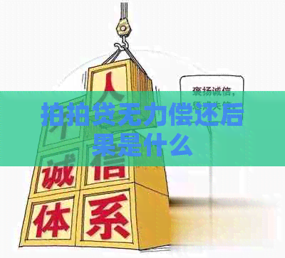 无力偿还后果是什么