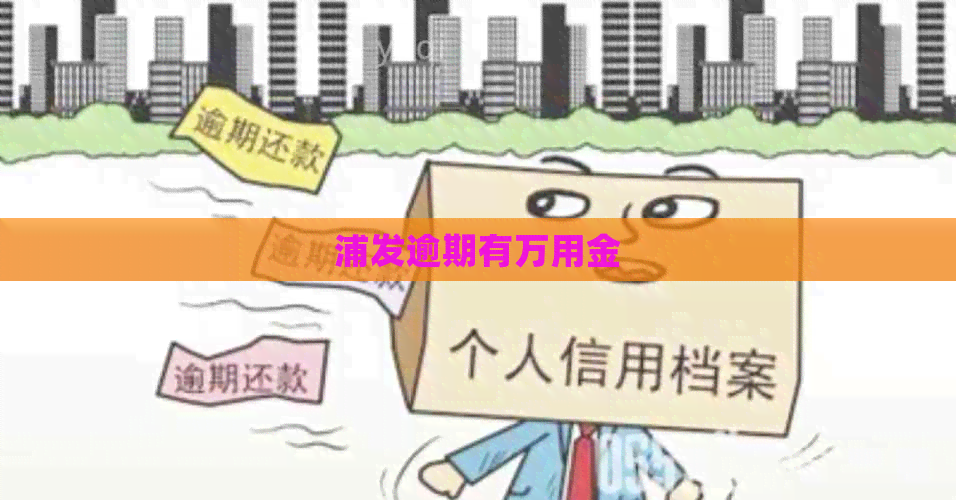 浦发逾期有万用金