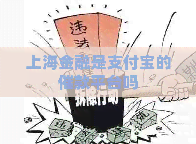上海金融是信用卡的催款平台吗