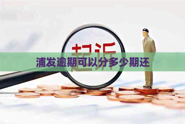 浦发逾期可以分多少期还
