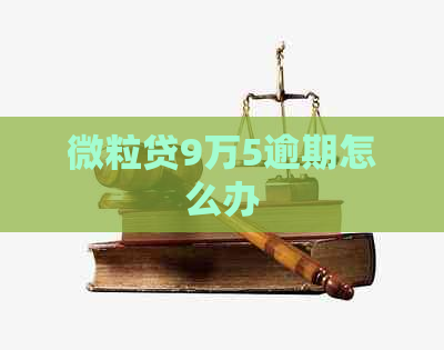 微粒贷9万5逾期怎么办