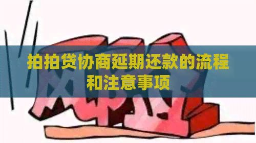 协商延期还款的流程和注意事项