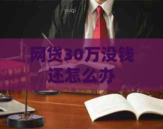 网贷30万没钱还怎么办