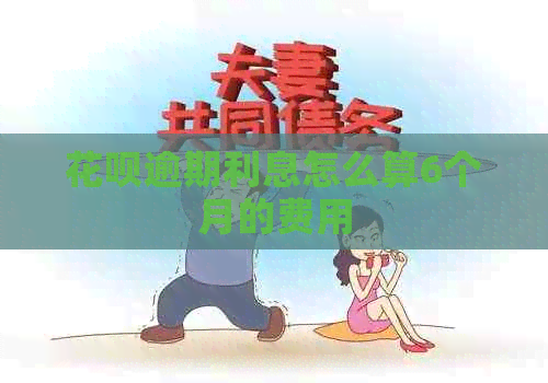 白条逾期利息怎么算6个月的费用