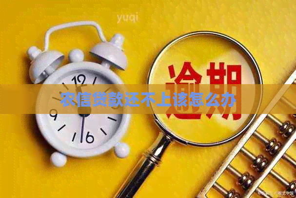 农信贷款还不上该怎么办