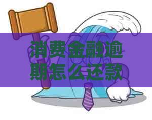 消费金融逾期怎么还款的方法及注意事项