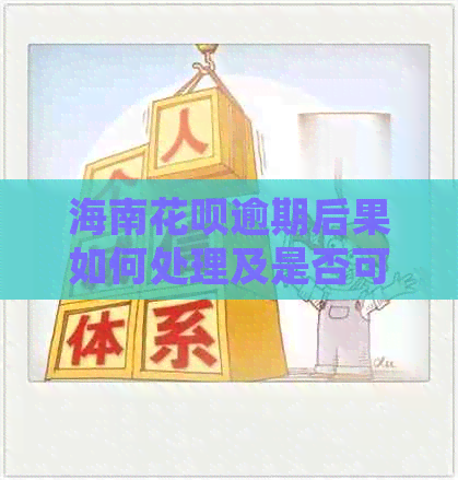 海南白条逾期后果如何处理及是否可协商还款