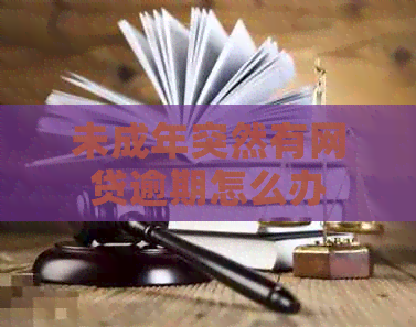 未成年突然有网贷逾期怎么办