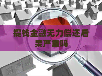 提钱金融无力偿还后果严重吗