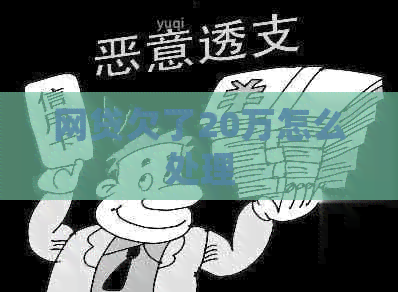 网贷欠了20万怎么处理
