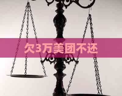 欠3万美团不还