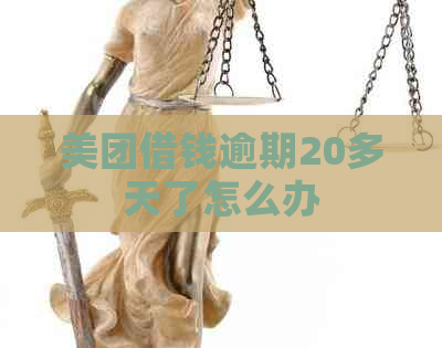 美团借钱逾期20多天了怎么办
