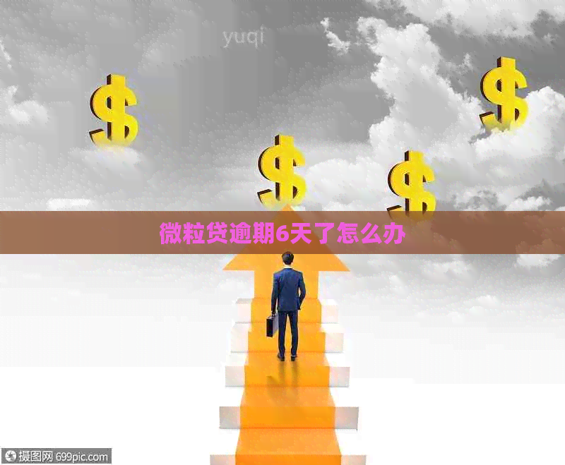 微粒贷逾期6天了怎么办