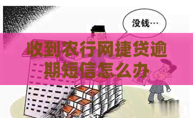 收到农行网捷贷逾期短信怎么办
