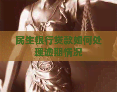 民生银行贷款如何处理逾期情况