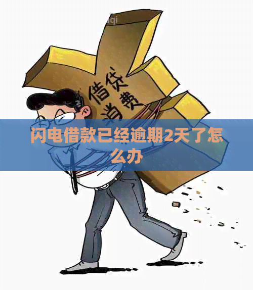 闪电借款已经逾期2天了怎么办