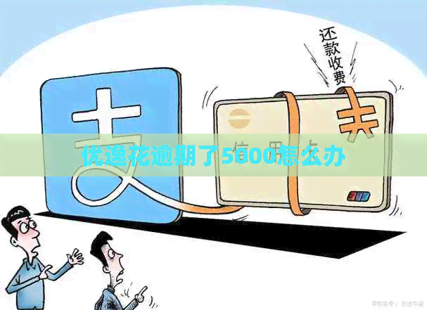 优逸花逾期了5000怎么办