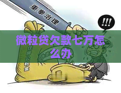 微粒贷欠款七万怎么办