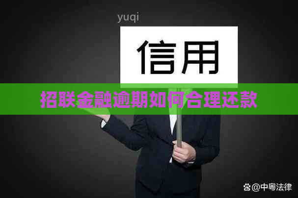 招联金融逾期如何合理还款
