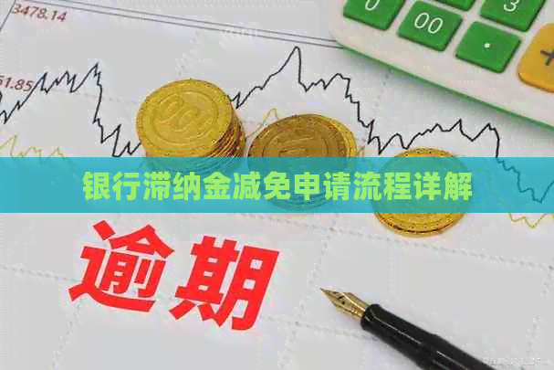 银行滞纳金减免申请流程详解