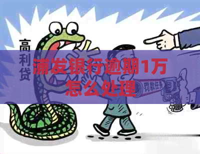 浦发银行逾期1万怎么处理