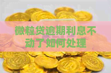 微粒贷逾期利息不动了如何处理