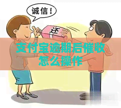 信用卡逾期后怎么操作