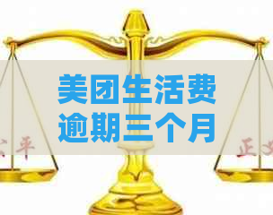 美团生活费逾期三个月后果及应对方法