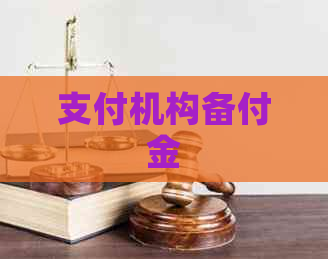 支付机构备付金